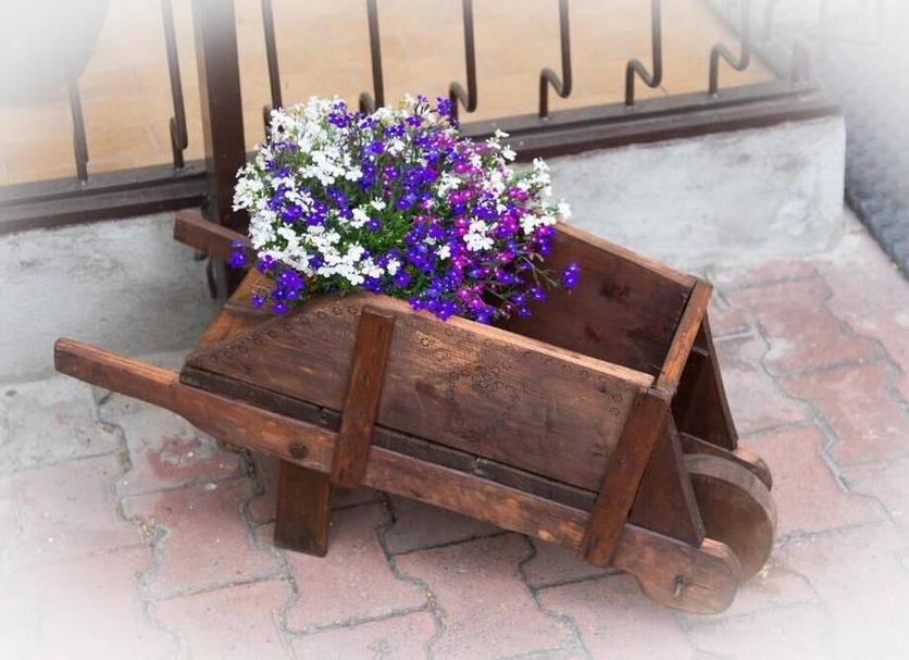 Muu Valokuva