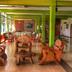 Aula