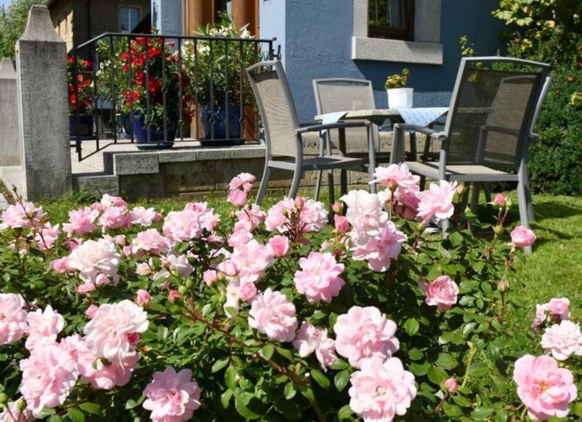 Patio Valokuva