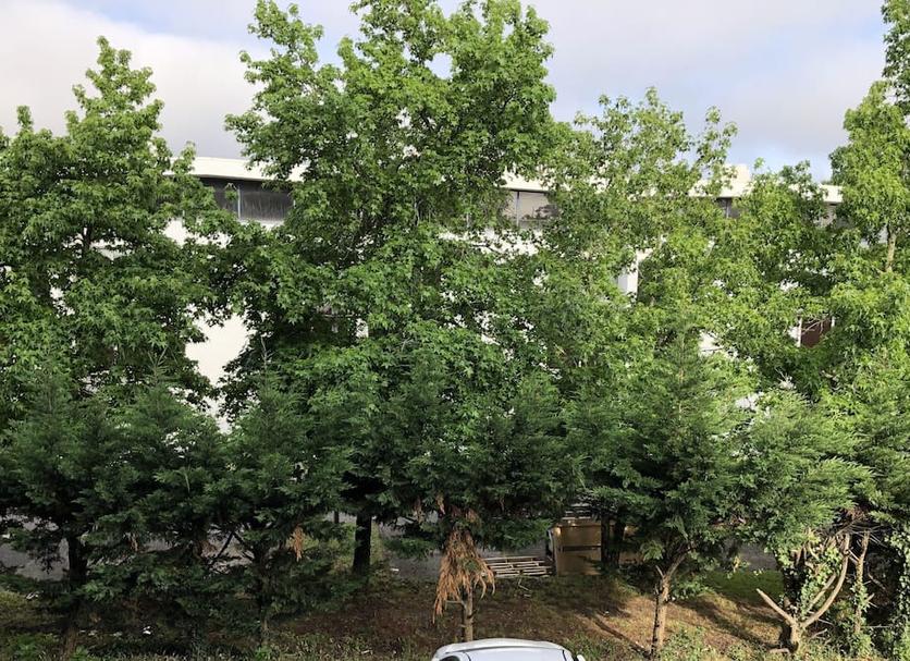 Näkymät ulkona Valokuva