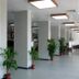 Aula