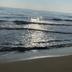 Ranta