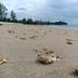 Ranta