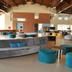Aula