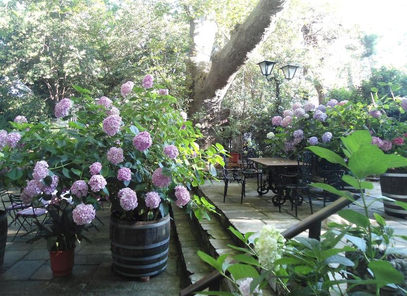 Patio Valokuva