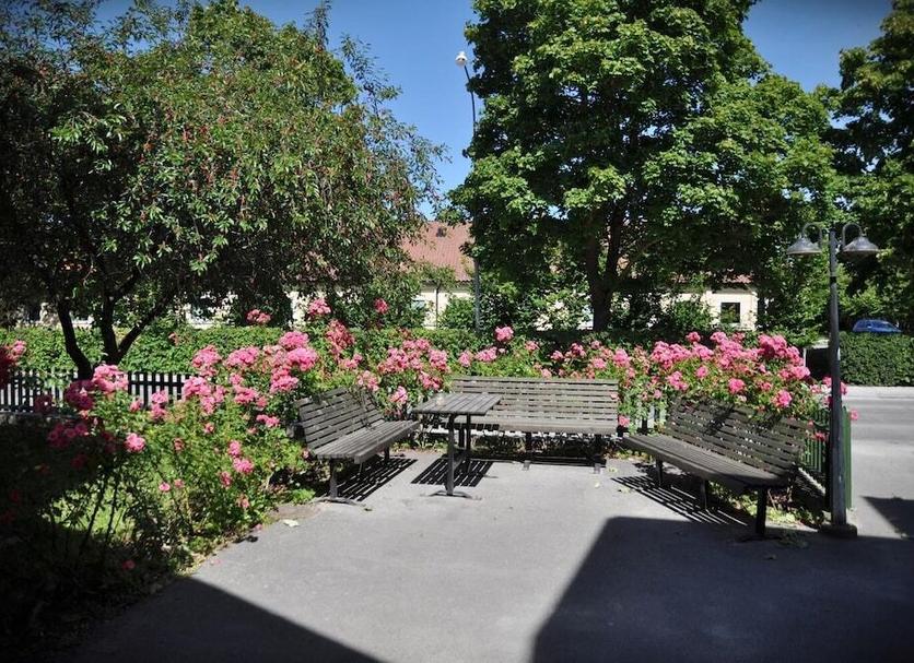 Patio Valokuva