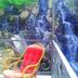 Parveke