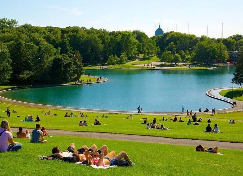 Muu Valokuva
