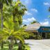 Muu