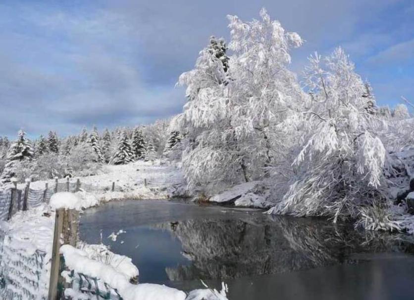 Muu Valokuva