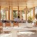 Baari