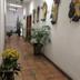 Aula