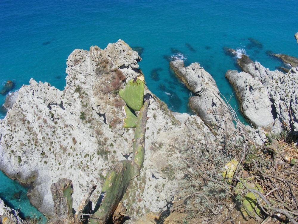 Ranta