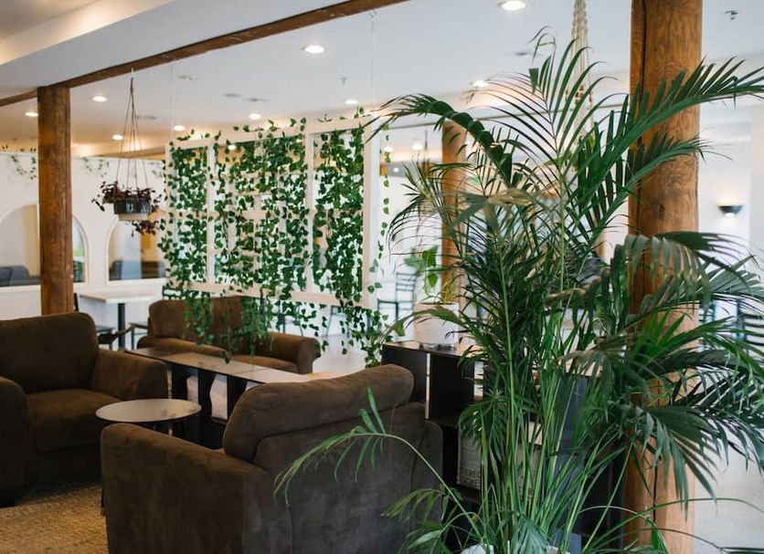 Oleskelutila Valokuva