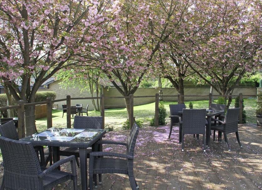 Patio Valokuva