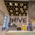 Muu