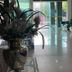Aula