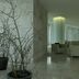 Aula