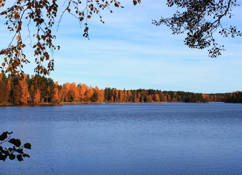 Muu Valokuva