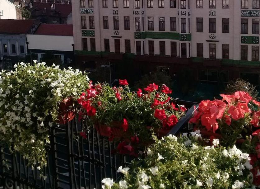 Näkymät ulkona Valokuva