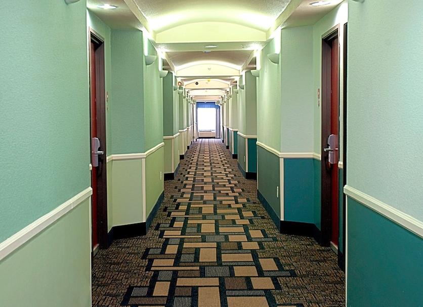 Aula Valokuva