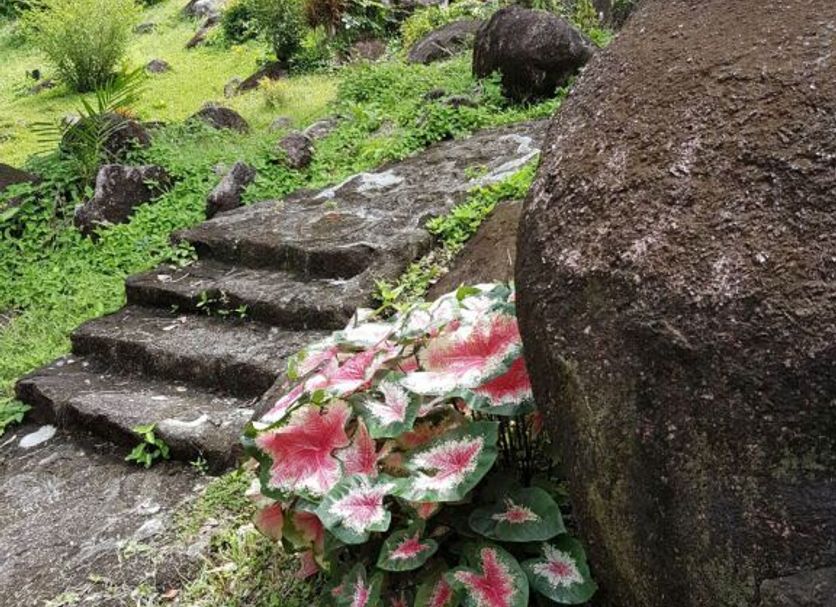 Näkymät ulkona Valokuva