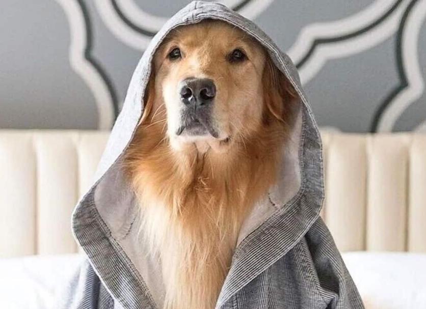 Muu Valokuva