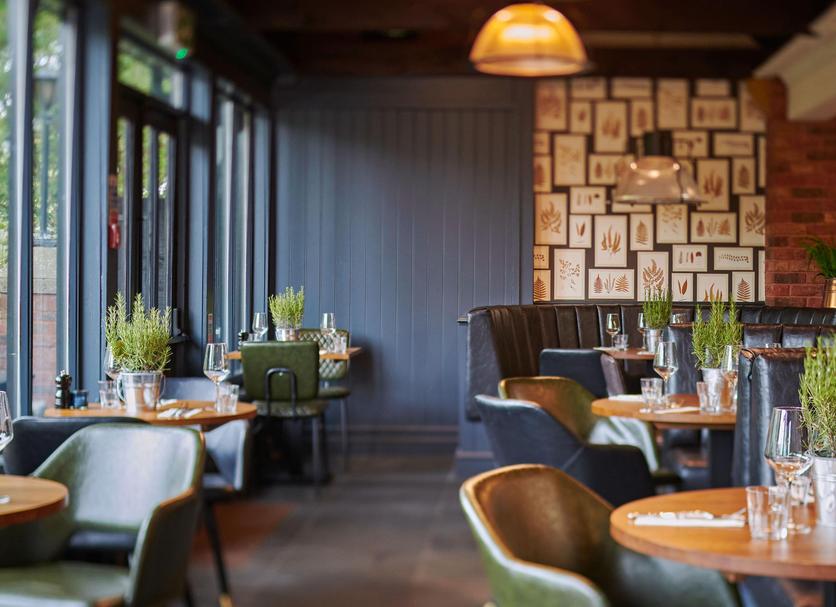 Ravintola Valokuva
