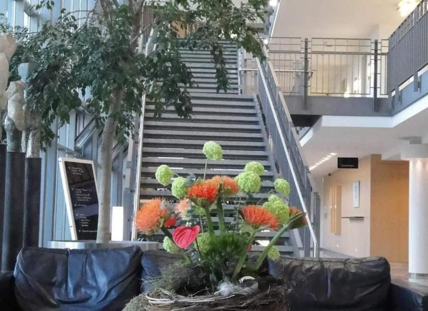 Näkymät ulkona Valokuva