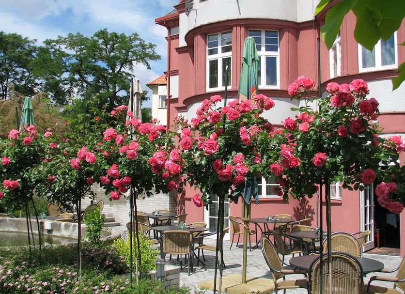 Patio Valokuva