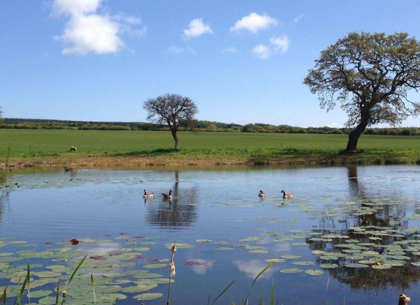 Näkymät ulkona Valokuva