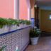 Aula