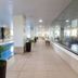 Aula