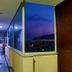 Aula