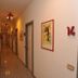 Aula