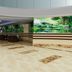 Aula