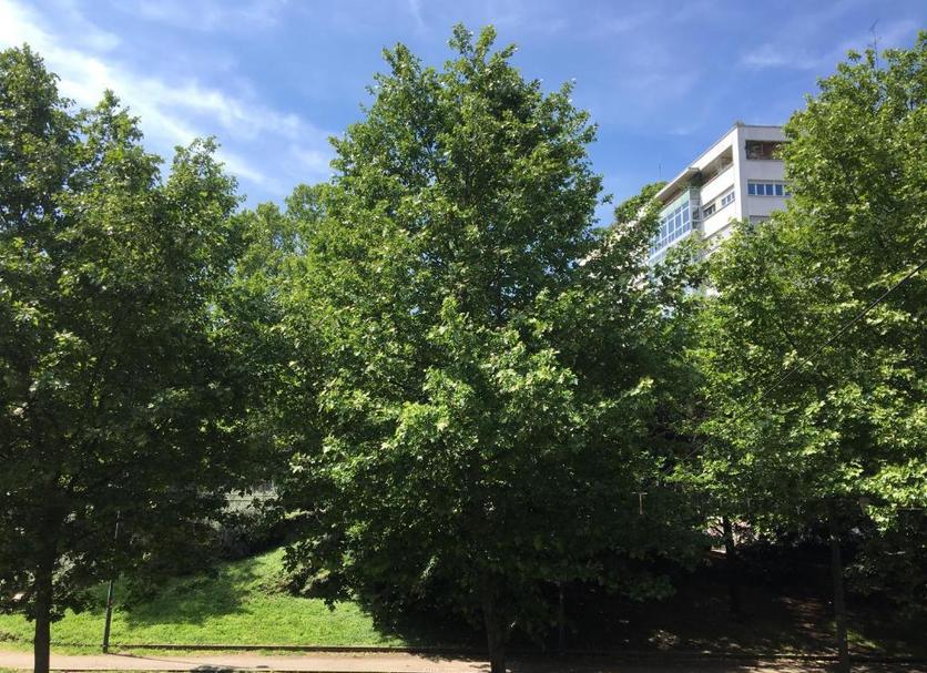 Näkymät ulkona Valokuva