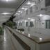 Aula