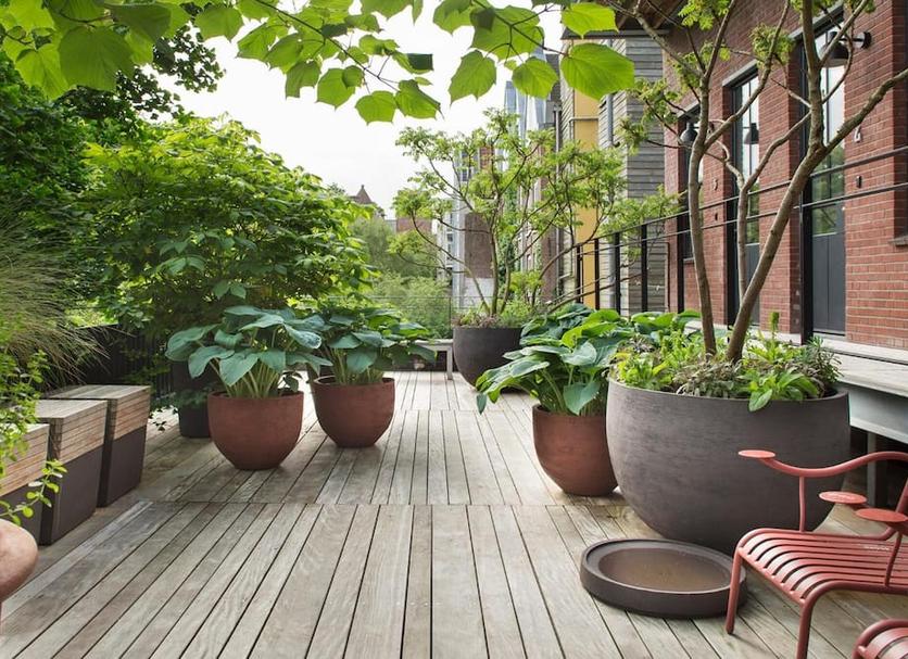 Patio Valokuva