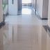 Aula
