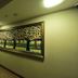 Aula