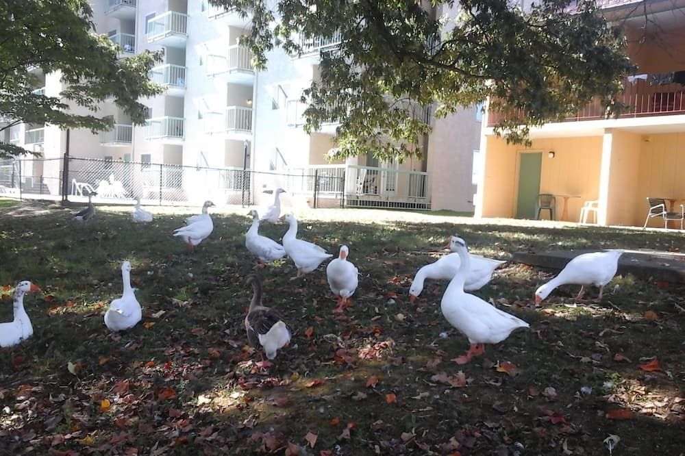 Näkymät ulkona Valokuva