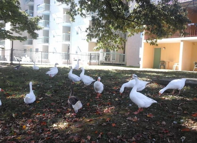 Näkymät ulkona Valokuva