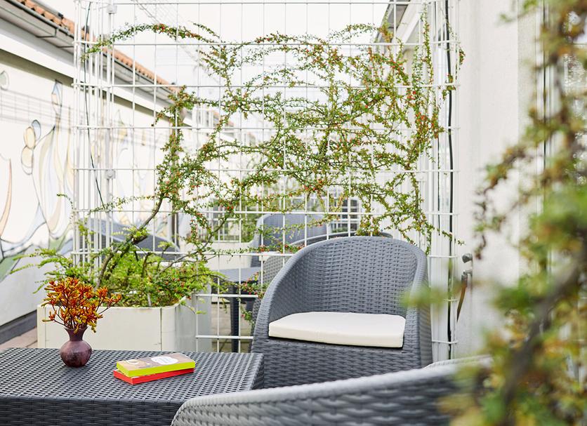 Patio Valokuva
