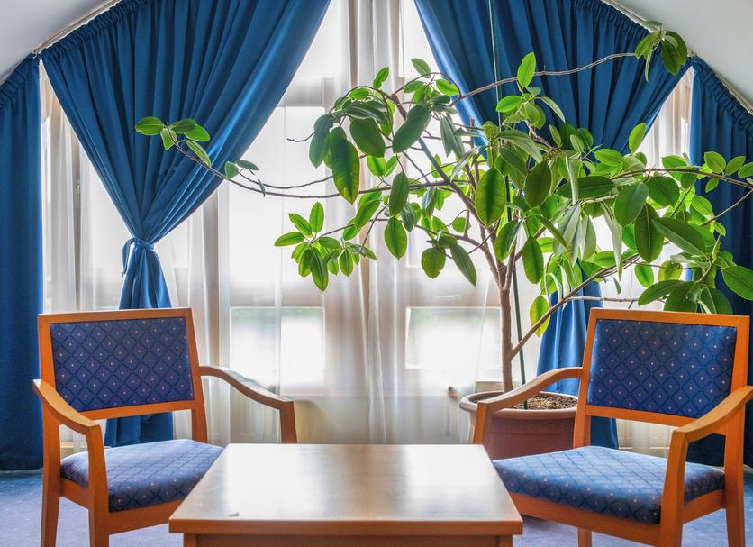 Muu Valokuva