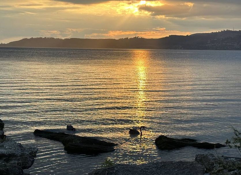 Ranta Valokuva
