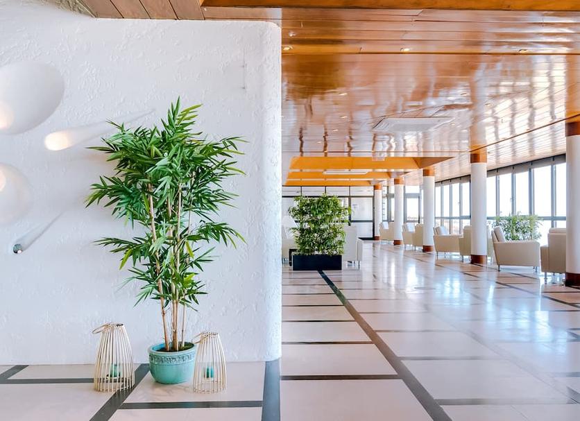 Aula Valokuva