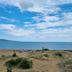 Ranta