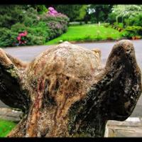 Hedgefield House Hotel