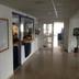 Aula